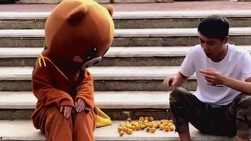 网红熊吃瓜,揭秘娱乐圈幕后真相